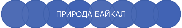 ПРИРОДА БАЙКАЛ